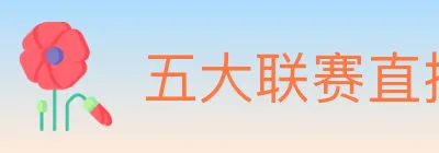 五大联赛直播 logo